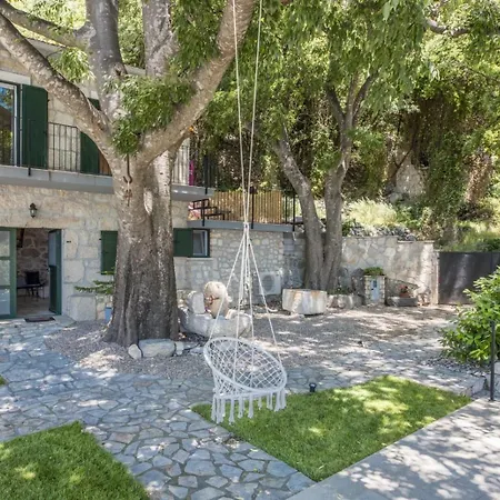 Ana 자오스트로그