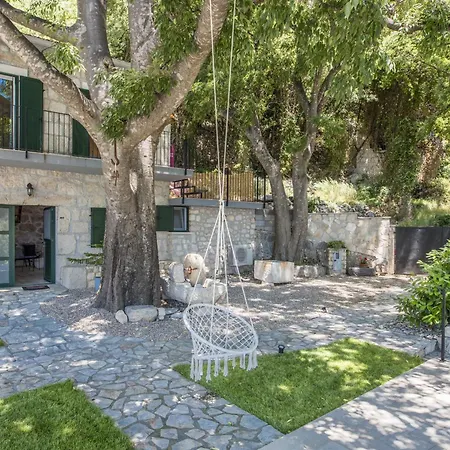 Ana * 자오스트로그