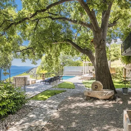 فيلة Ana زاووستروج