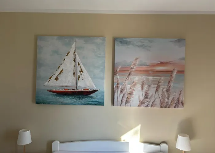 Ana * 泽斯特拉格